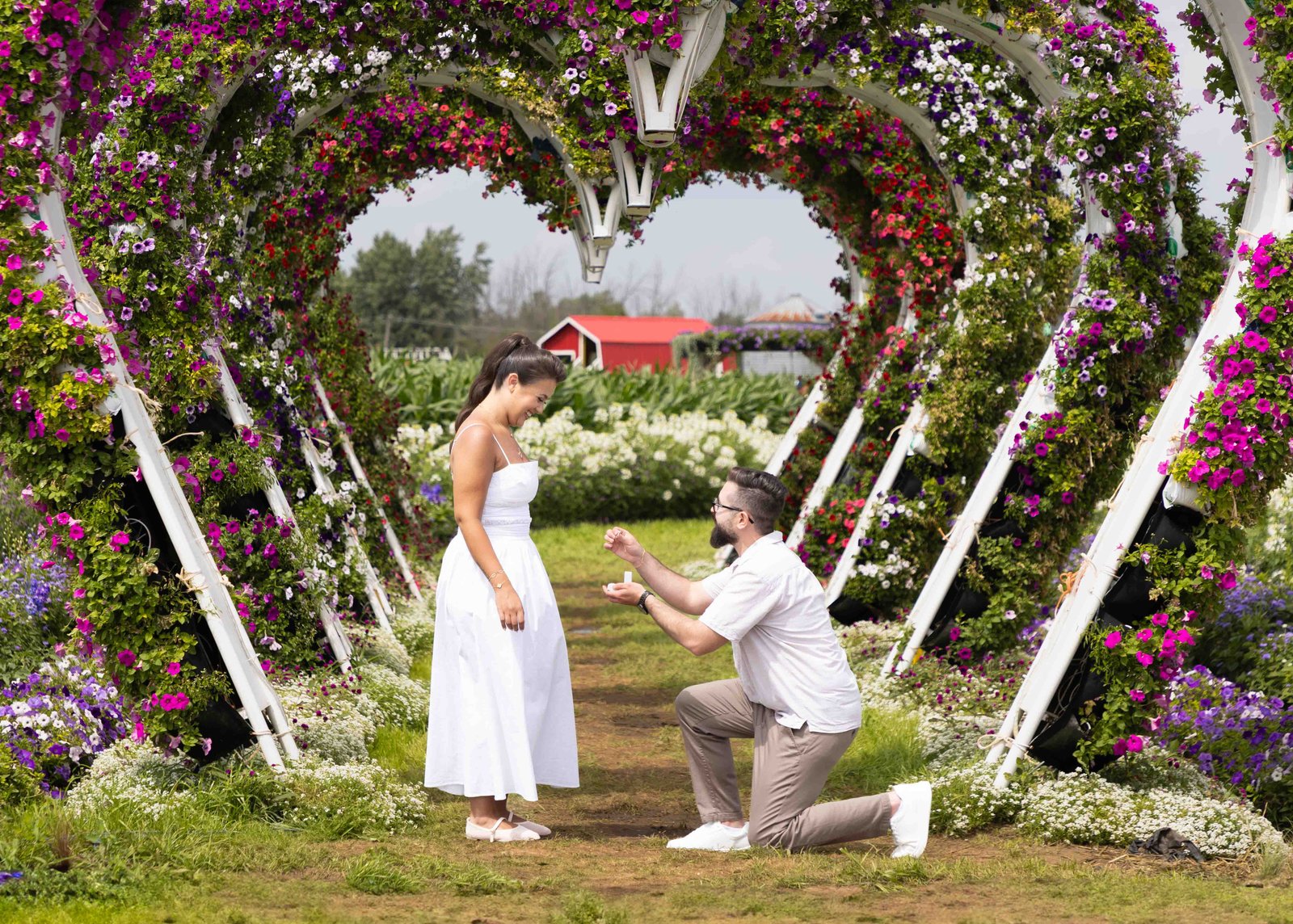 Proposal
